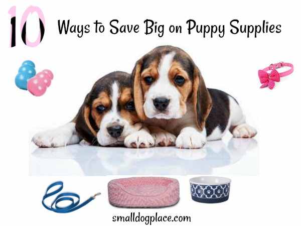 Ten ways to save big on puppy supplies.