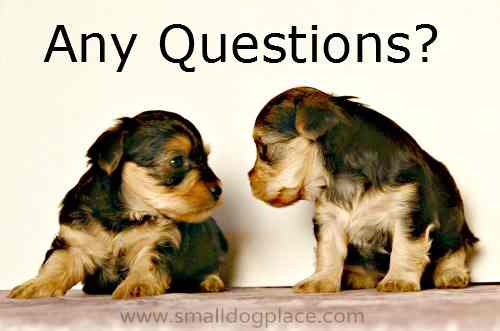 Questions Breeders ask of you