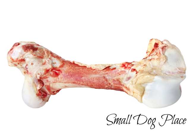 A large meaty bone used in a raw dog food diet