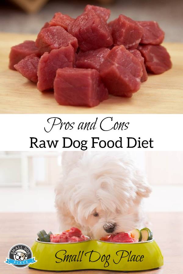 pin image showing raw food for a dog