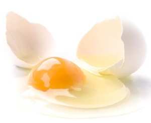 Cooked eggs are fine but raw eggs could be dangerous