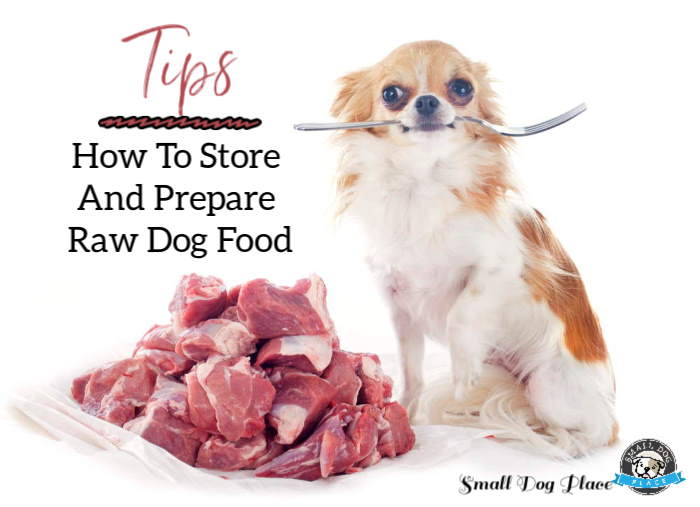 is frozen raw dog food safe