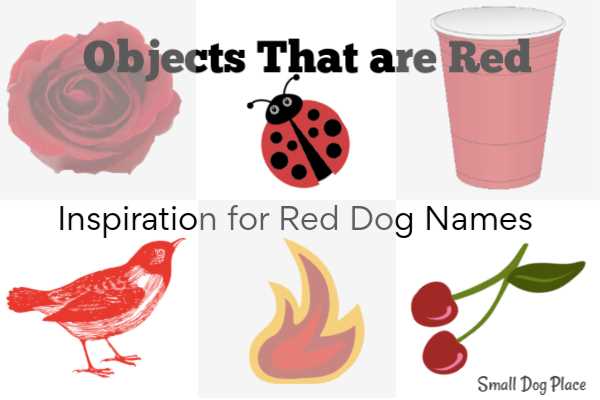 Red objects include cherries, flame, a red bird, a red solo cup, and a red ladybug.