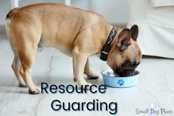 Resource Guarding