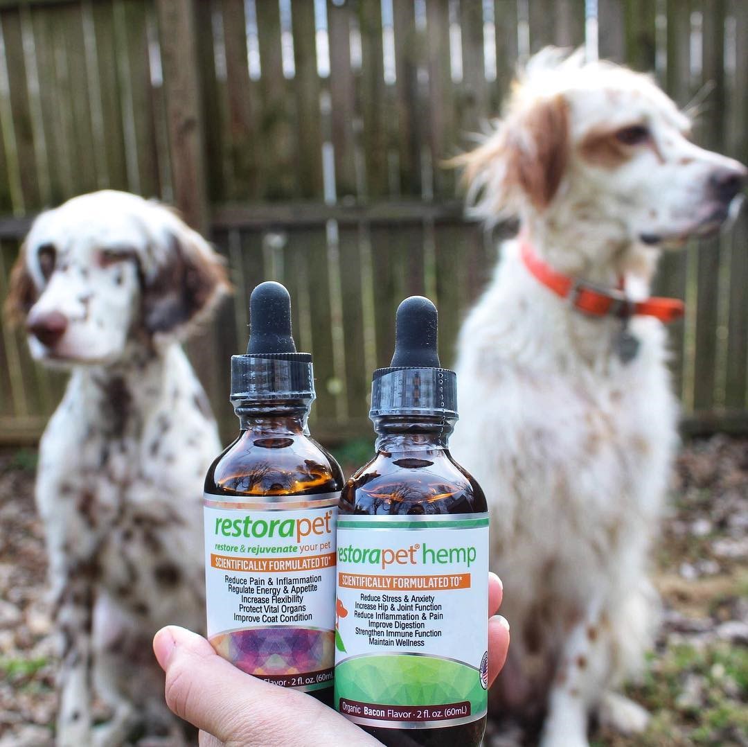CBD products are shown in front of two dogs.