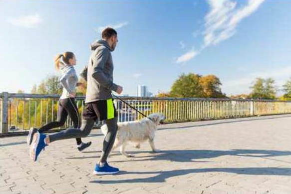 A man and a woman is jogging with a white dog.