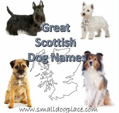 Scottish Dog Names for your dog originating in Scotland