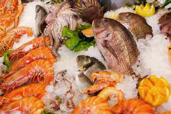 Fresh seafood and fish packed in ice