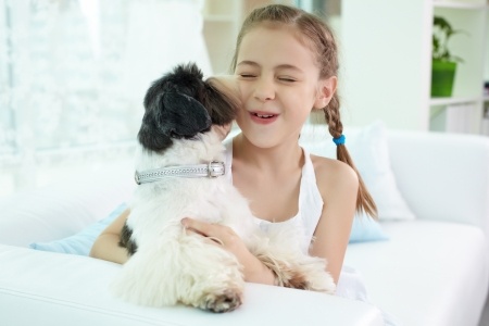 Best small breed dogs for kids