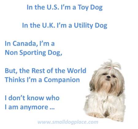 Understanding how dog breeds are classified