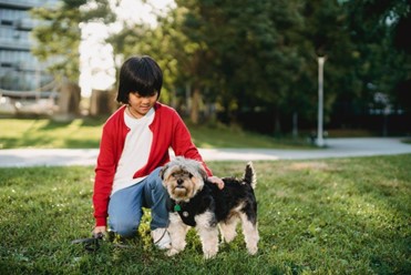 A small dog is seen wearing a collar A small dog is seen wearing a collar