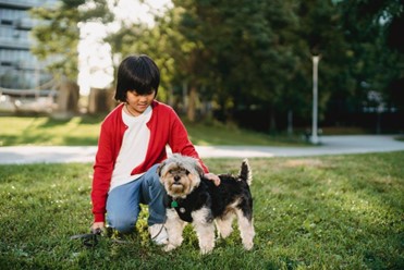 A small dog is seen wearing a collar