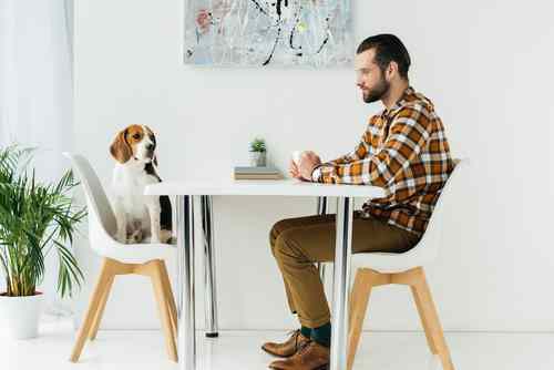 Definitive signs that your dog is actually your baby, She has her own place at the dining table