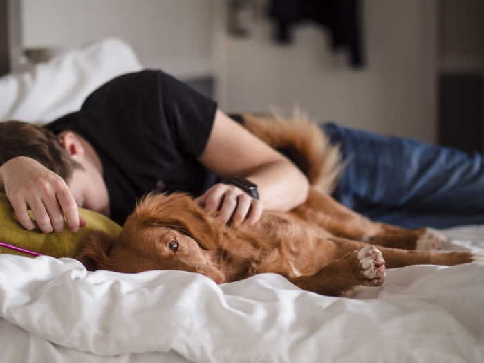 A person is sleeping with a dog