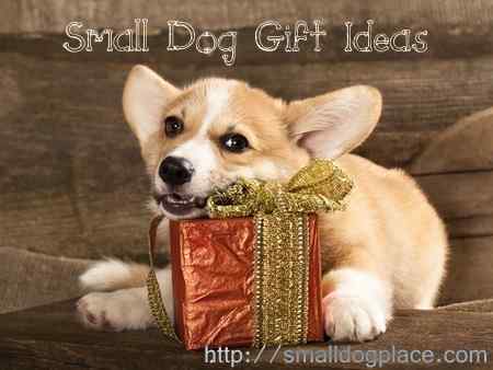 Small Dog Gift Ideas