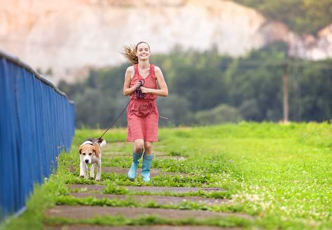 running companion dogs