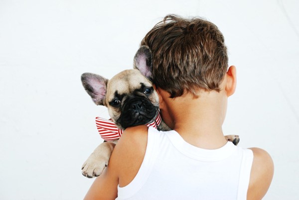 A French bulldog puppy is being held by a small boy
