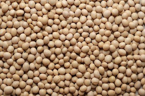 Soybeans Soybeans