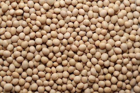 Soybeans