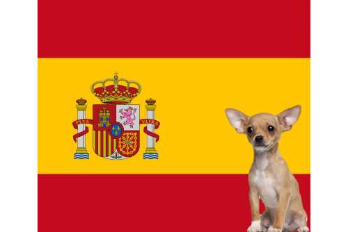 Spanish Dog Names