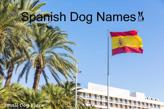 Spanish Dog Names:  A Spanish Flag in front of a tourist area