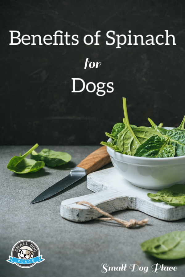 Pin showing a bowl of spinach, cutting board and knife