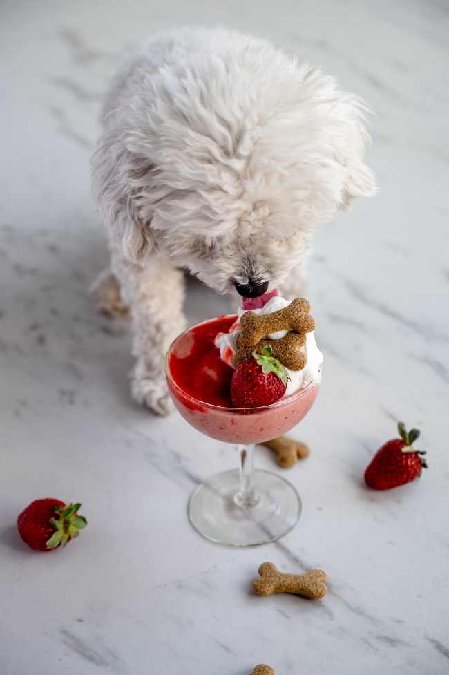 A small dog is eating a strawberry banana nice cream treat