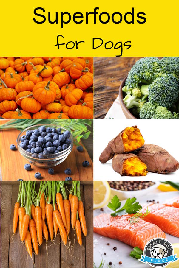Superfoods for dogs:  Pin for future reference