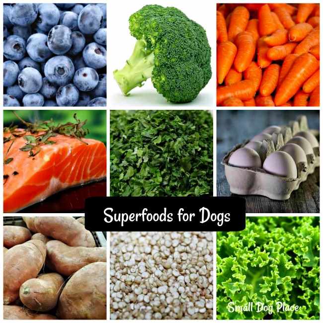 A collage of superfoods for dogs in a pin image.