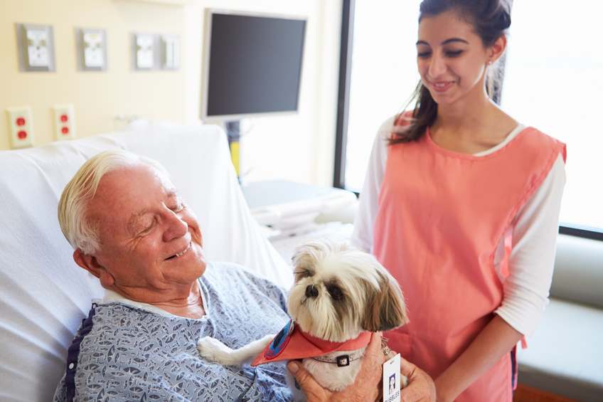 A therapy dog is comforting a man in the hospital