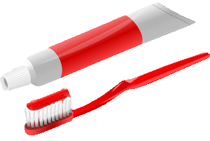 Do not allow dogs to eat human toothpaste An ingredient in human toothpaste, gum, and mouthwash, is a substance that is toxic to dogs.