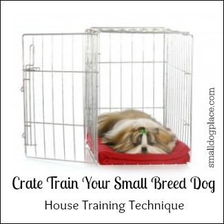 Crate Training