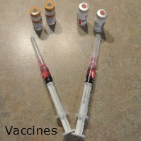Puppy Vaccines