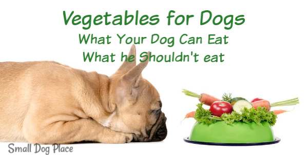 can you feed dogs cooked vegetables