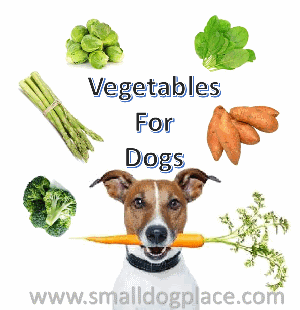 Veggies For Dogs Chart