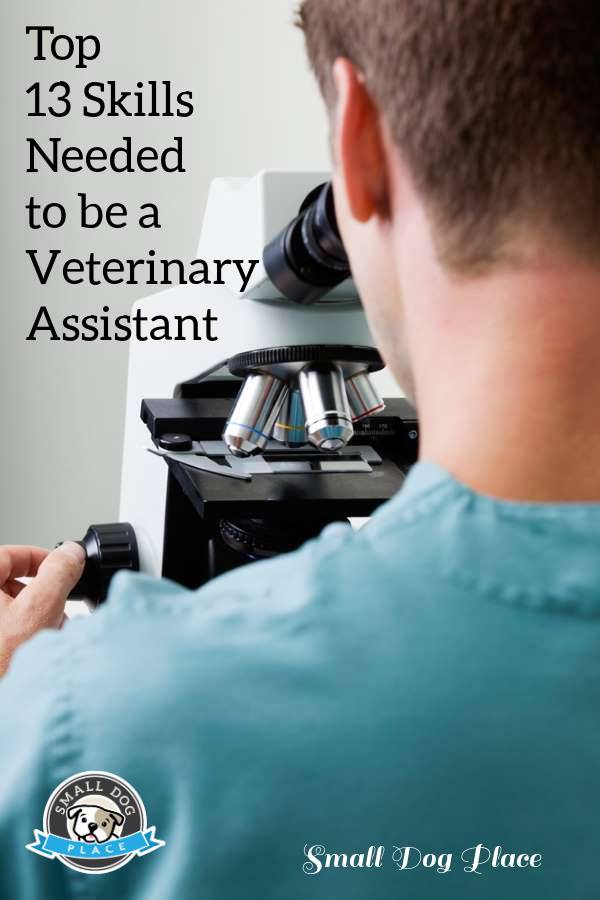 Skills needed to be a vet assistant, pin