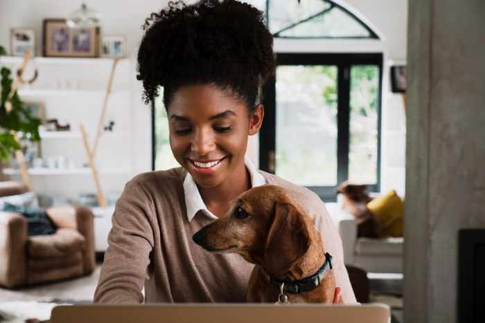 keeping your puppy entertained while working from home and still prevent separation anxiety