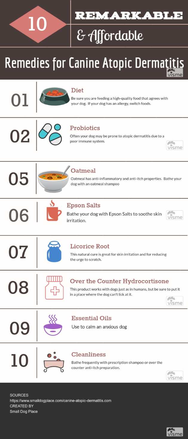 canine atopy treatment