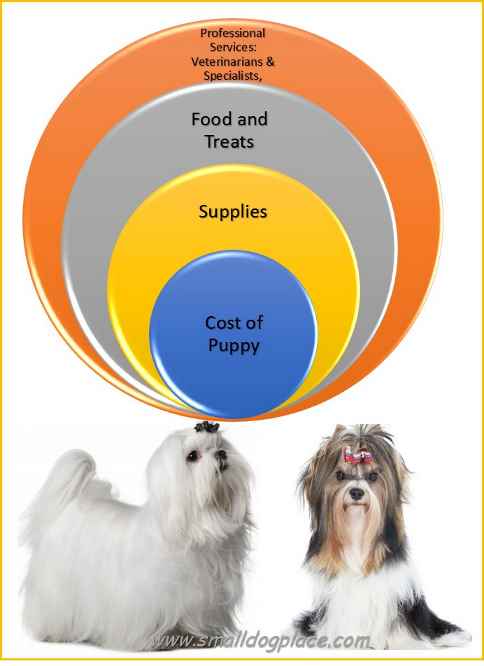 yearly dog costs what you should expect to pay for that new puppy