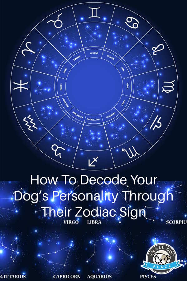 zodiac signs and your dog pin image