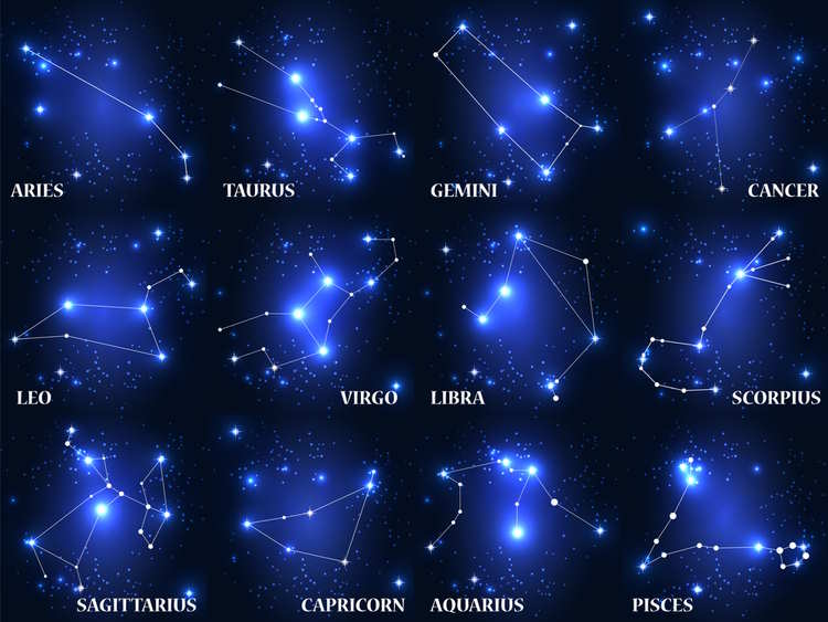vecter image of the signs of the zodiac